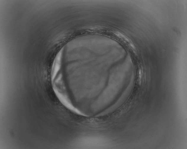 X0000116420966200912291846