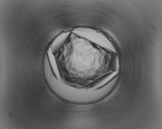X0000116420977200912291845