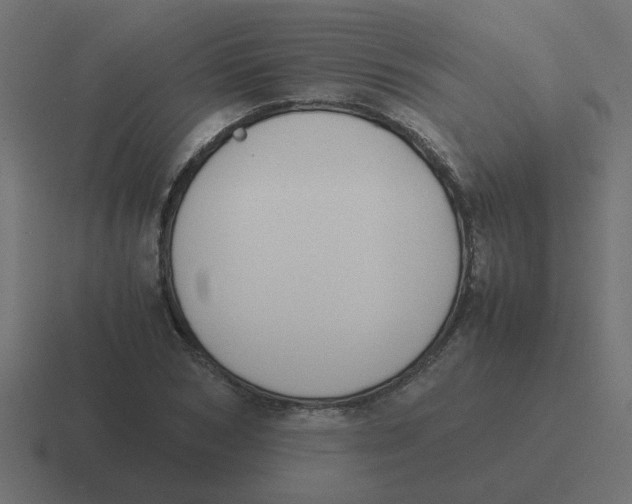 X0000116420978200912291845