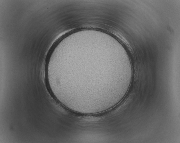 X0000116420984200912291845