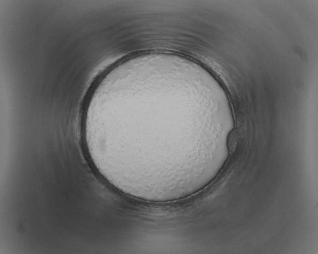 X0000116420987200912291845