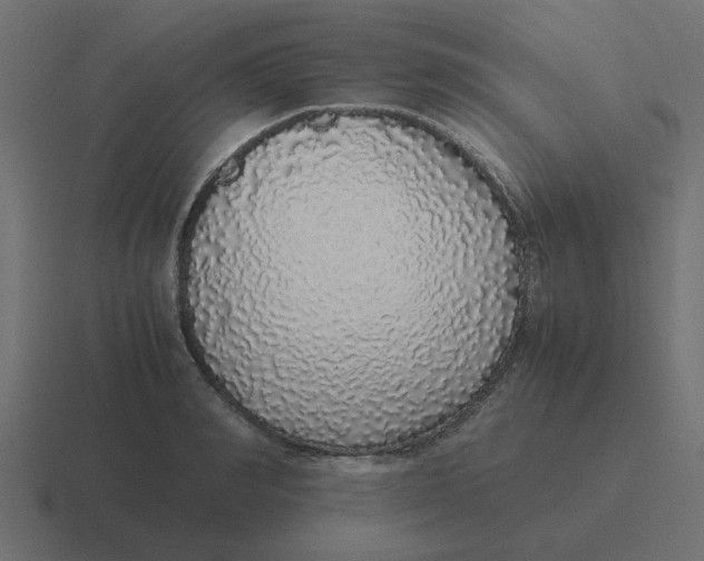 X0000116420990200912291845
