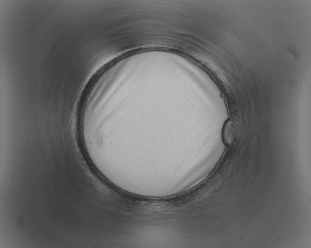 X0000116420991200912291845