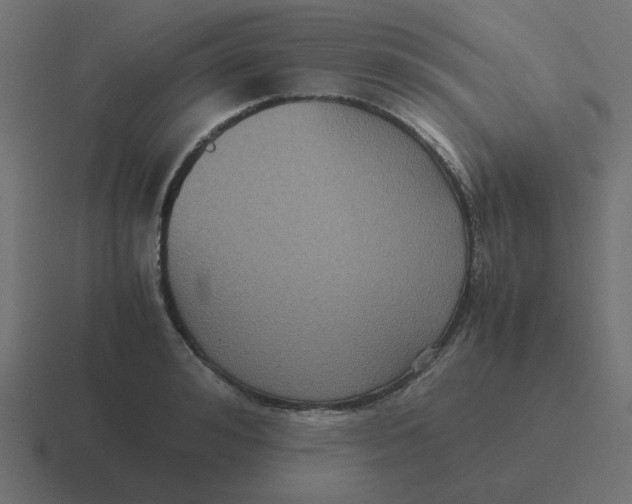 X0000116420992200912291845