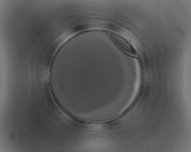 X0000116420993200912291845