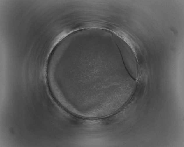 X0000116420997200912291845