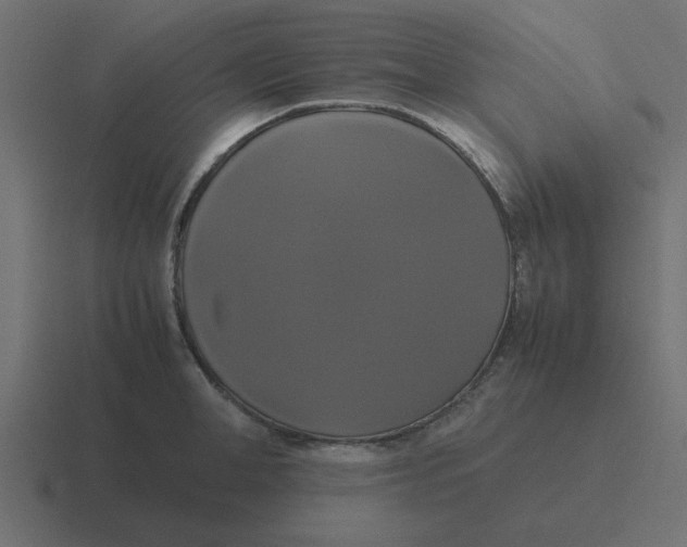 X0000116420998200912291845