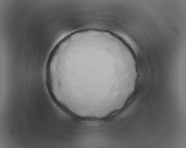 X0000116420999200912291845