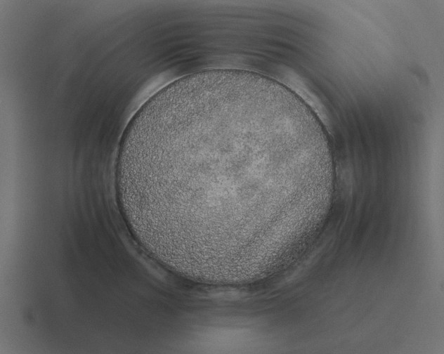 X0000116421002200912291845