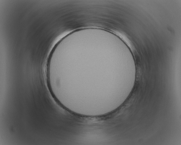 X0000116421003200912291845