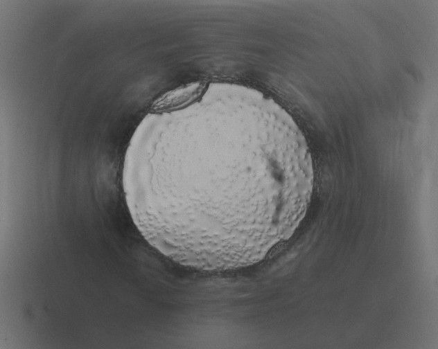 X0000116421010200912291844
