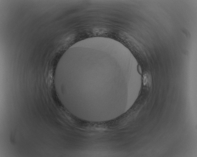 X0000116421011200912291844