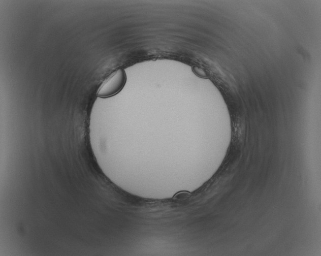 X0000116421012200912291844