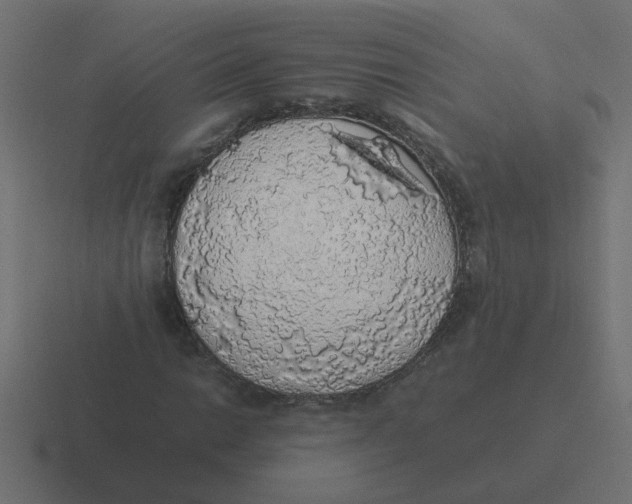 X0000116421014200912291844