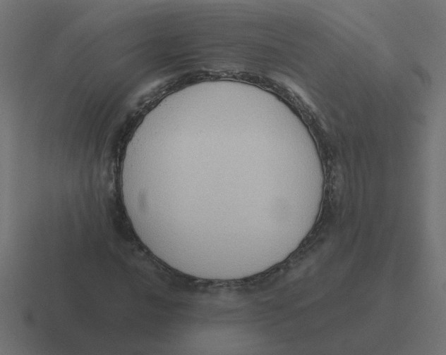 X0000116421016200912291844