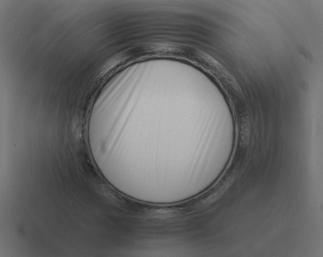X0000116421017200912291844