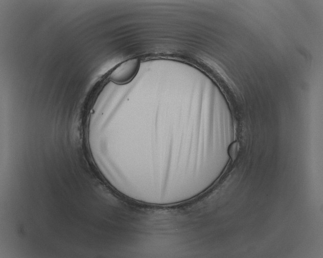 X0000116421018200912291844