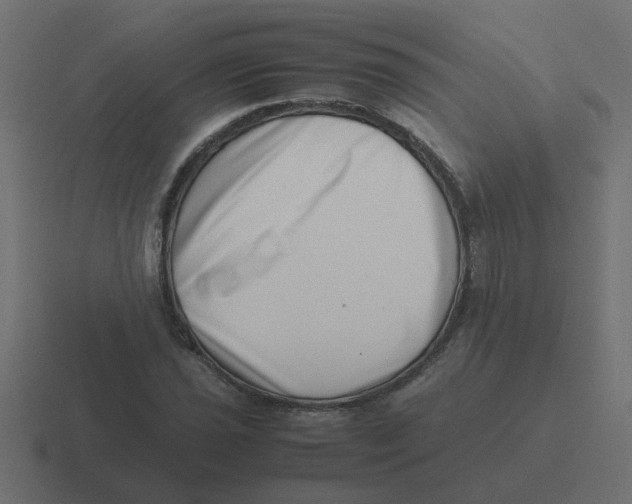 X0000116421021200912291845