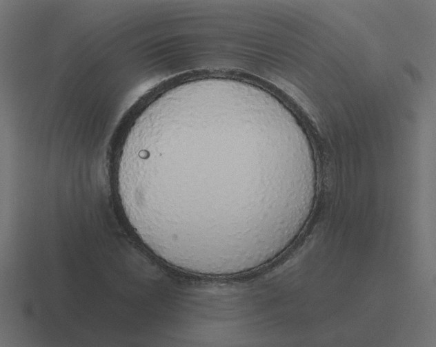 X0000116421022200912291845
