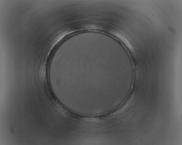 X0000116421023200912291845