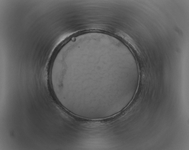 X0000116421024200912291845