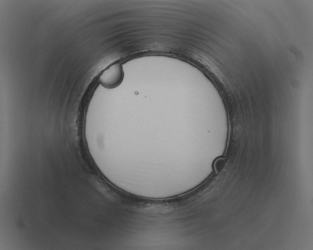 X0000116421026200912291845