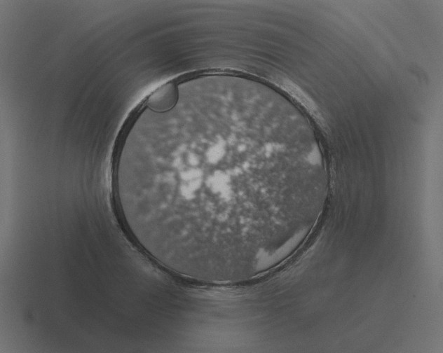 X0000116421028200912291845