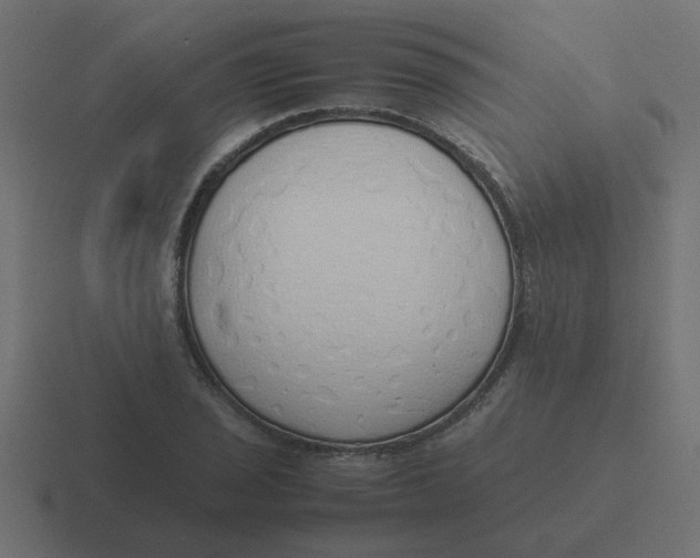 X0000116421029200912291845