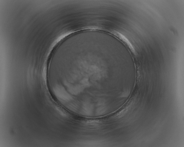 X0000116421035200912291845