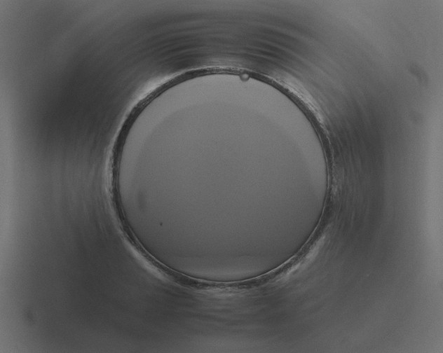 X0000116421037200912291845