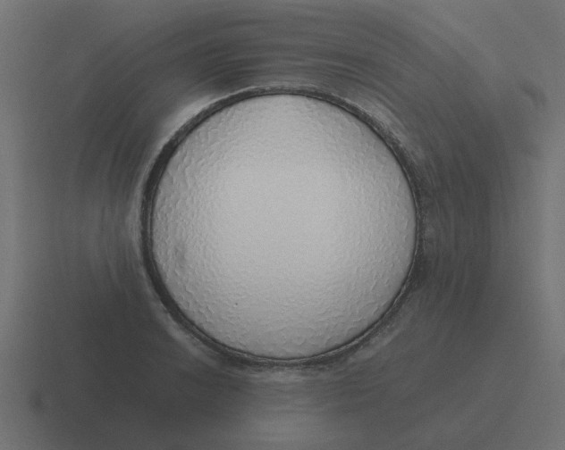 X0000116421038200912291845