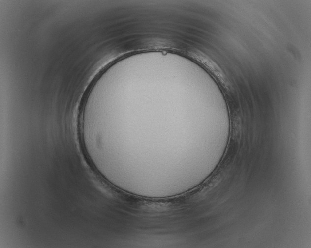 X0000116421039200912291845