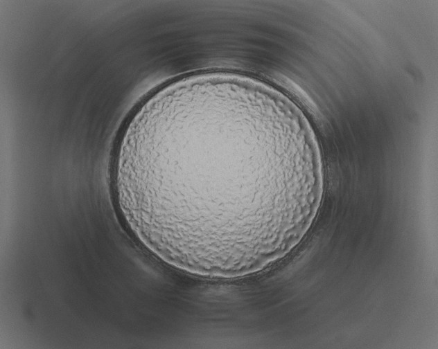 X0000116421043200912291845