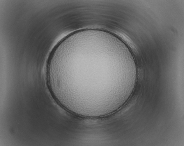 X0000116421046200912291845