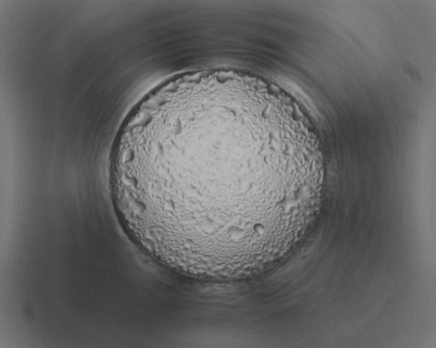 X0000116421047200912291845