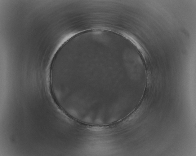 X0000116421048200912291845