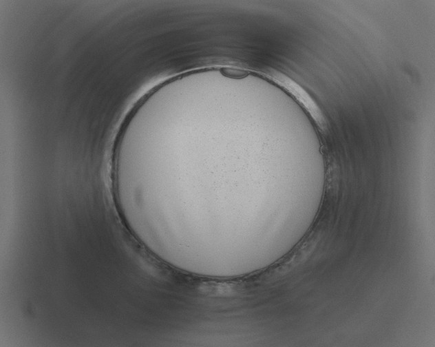 X0000116421051200912291845