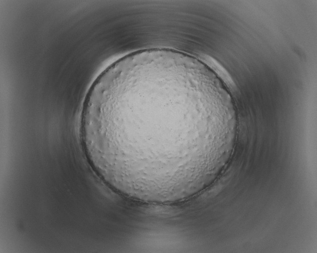 X0000116421052200912291845