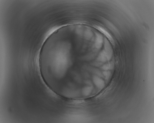 X0000116421055200912291845