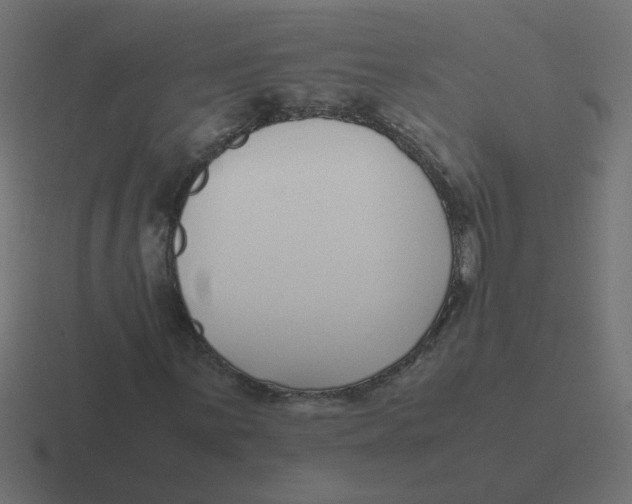 X0000116421059200912291844
