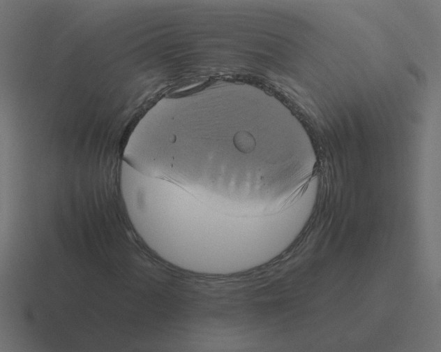 X0000116421060200912291844