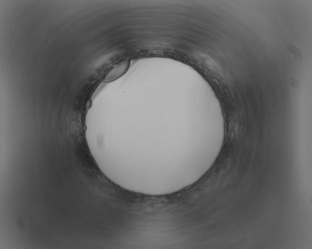 X0000116421062200912291844