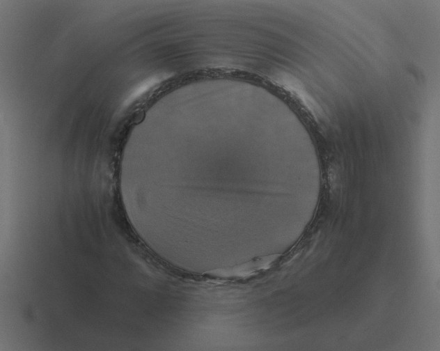 X0000116421064200912291844