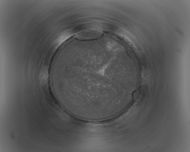 X0000116421065200912291844