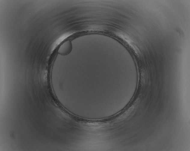 X0000116421066200912291844
