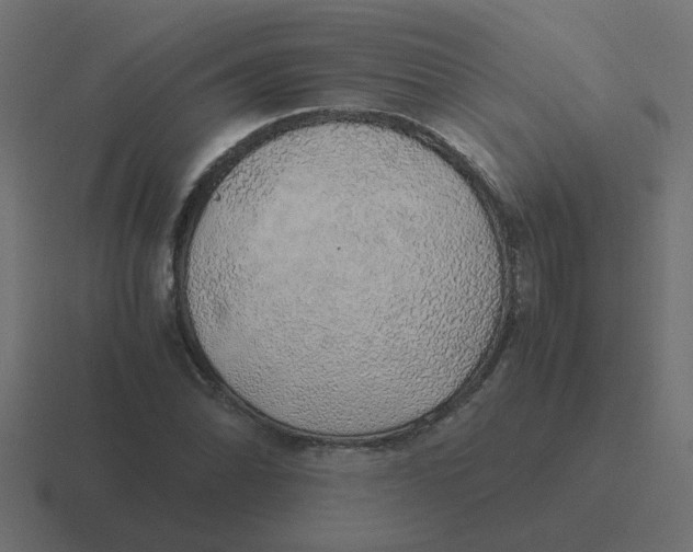 X0000116421070200912291844