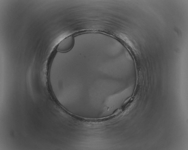 X0000116421071200912291844