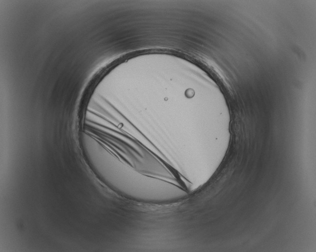X0000116421072200912291844