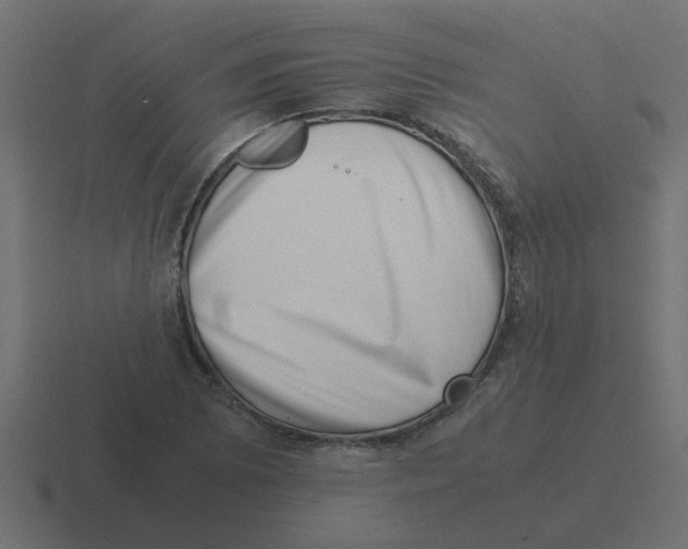 X0000116421073200912291844