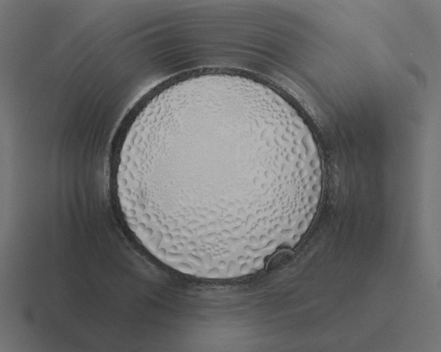 X0000116421076200912291844